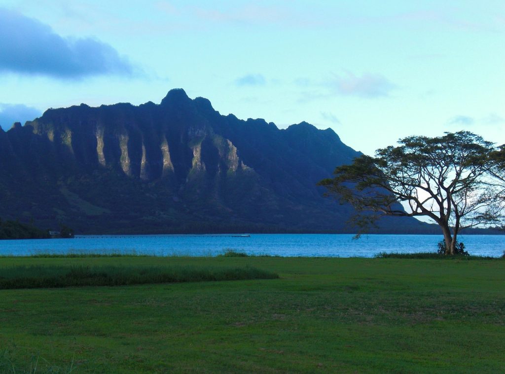 Stephane Marchand of Hawaii: Reimagining the Future Through Regeneration and Relationship
